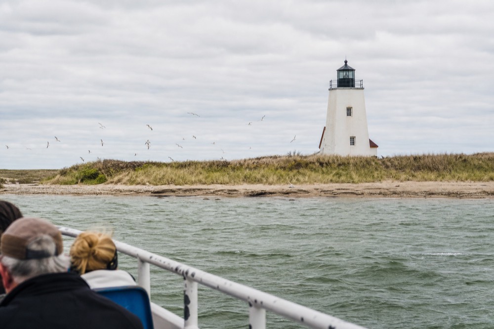 A barrier island shoreline and lighthouse seen across Georgia coastal water, no text, no logos, no people